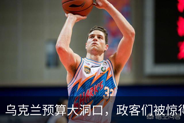 乌克兰预算大洞口，政客们被惊得“目瞪口呆”！