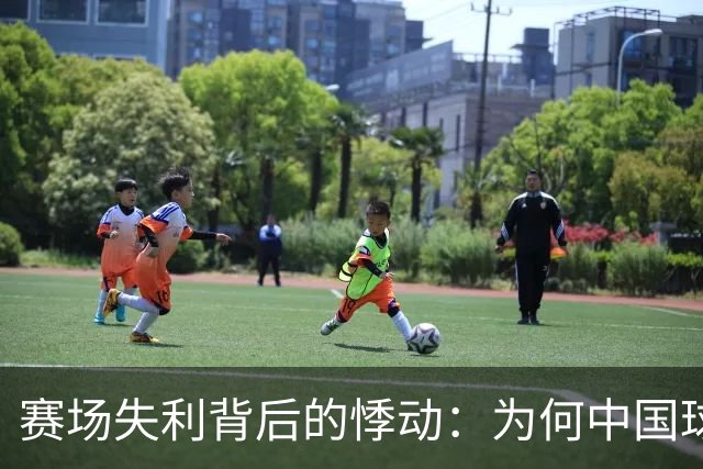 赛场失利背后的悸动：为何中国球队像失去灵魂的鱼？